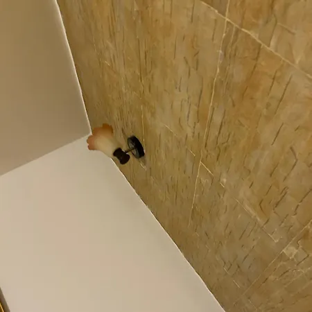 Отель Casa Voinicului Брашов